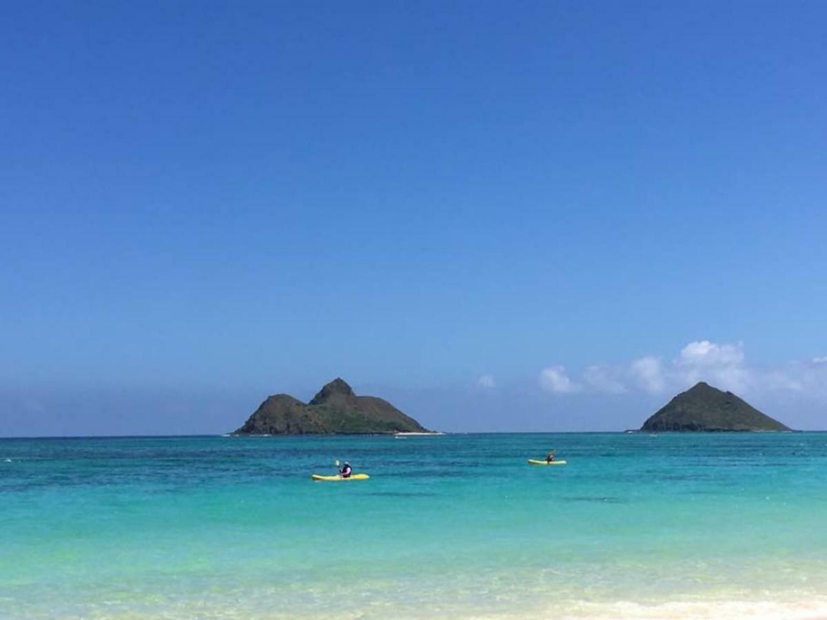 Lovely Relaxing Lanikai Studio, Legal Vacation Rental Kailua Exterior photo