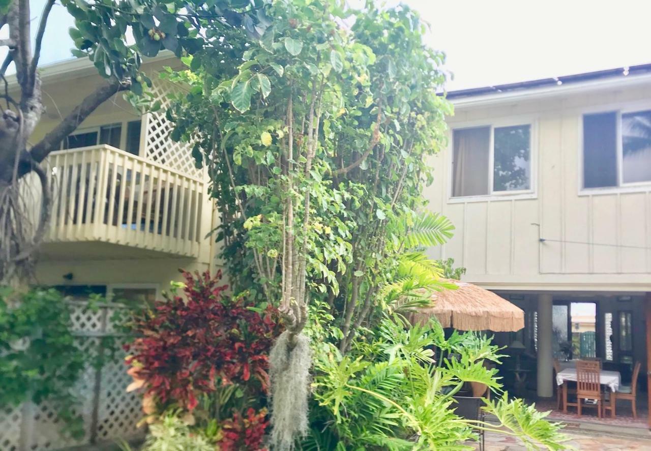 Lovely Relaxing Lanikai Studio, Legal Vacation Rental Kailua Exterior photo